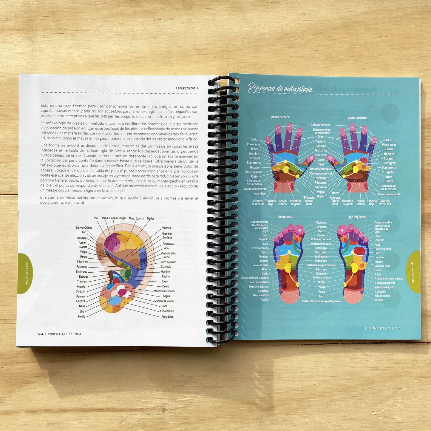 Guía Las Bases Esenciales - Sexta edición - Oily