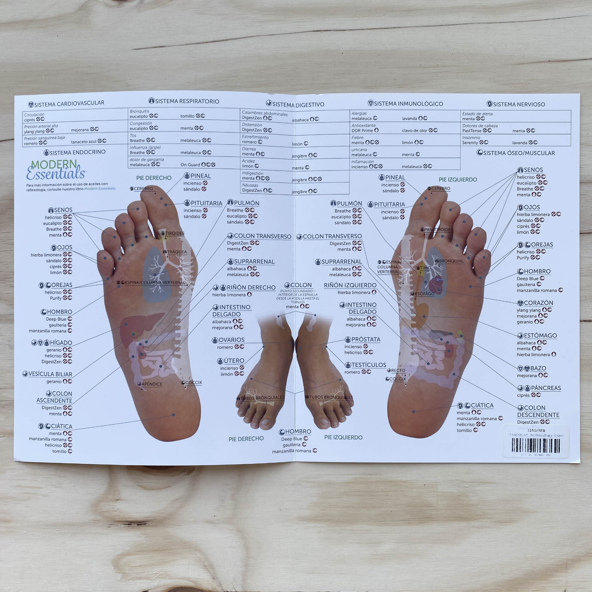 Reflexologia Para Dolor De Estomago La Reflexología Masaje En El