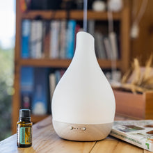 Cargar imagen en el visor de la galería, difusor de vidrio esmerilado aromaterapia oily doterra